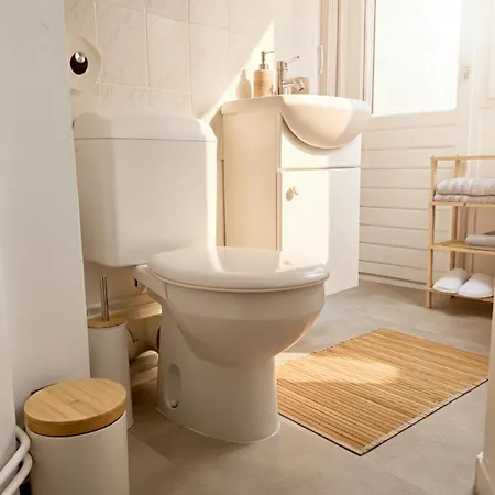 Le Cosy - Hypercentre - Wifi - Place De Jaude - Opéra Clermont-Ferrand