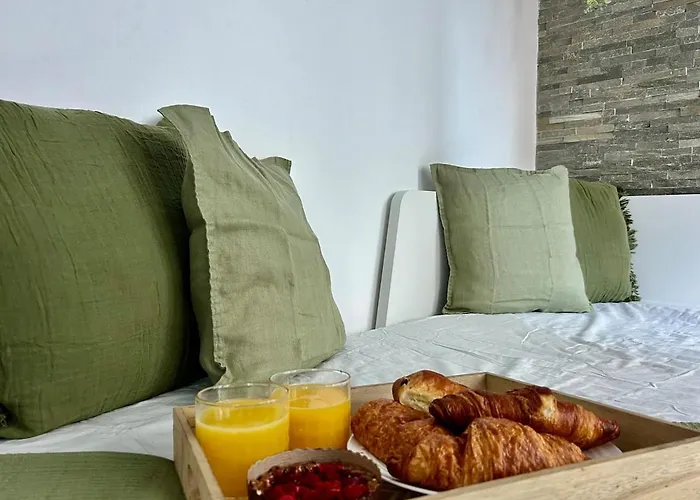 Le Cosy - Hypercentre - Wifi - Place De Jaude - Opéra